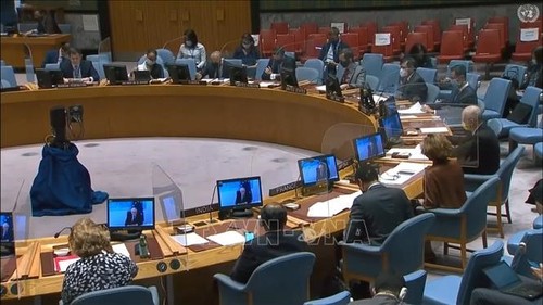 Weltsicherheitsrat diskutiert über Auswirkung der COVID-19-Pandemie auf Terrorkampf - ảnh 1
