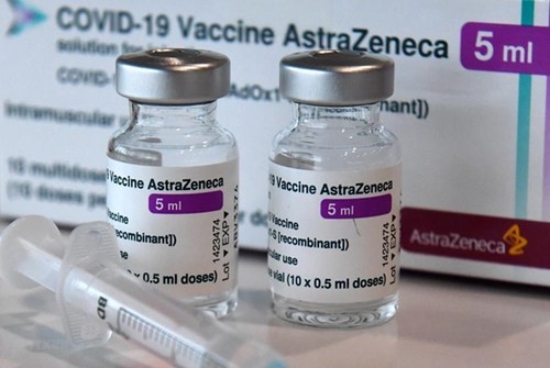 Zuschuss von umgerechnet knapp 280 Millionen Euro für den Kauf von 61 Millionen COVID-19-Impfstoff-Dosen - ảnh 1