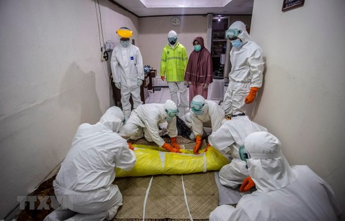 COVID-19-Pandemie: Südostasien unter Druck von Delta-Varianten - ảnh 1