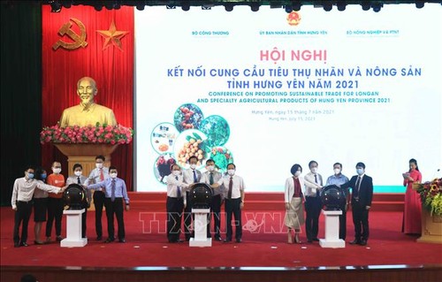  Konferenz für Handel von Longan aus Hung Yen - ảnh 1