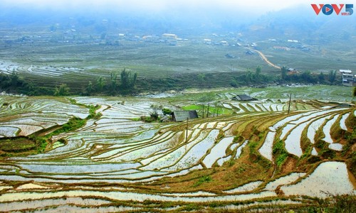 Schönheit von Hoi An und Sapa, zwei Attraktionen in Bildern - ảnh 12