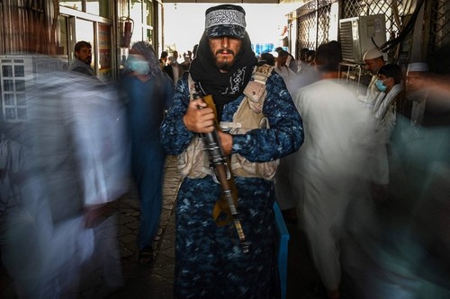 Taliban starten Offensive gegen IS - ảnh 1