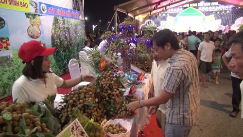 Hanoi will im November Früchte-Festival veranstalten - ảnh 1