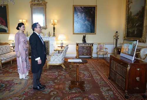 Botschafter in Großbritannien Nguyen Hoang Long überreicht Königin von Großbritannien Beglaubigungsschreiben - ảnh 1