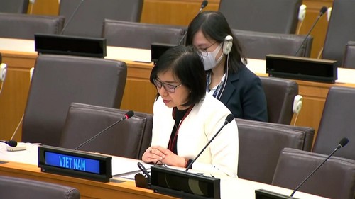 Vietnam unterstützt verstärkte Sicherheit der UN-Friedensmission - ảnh 1