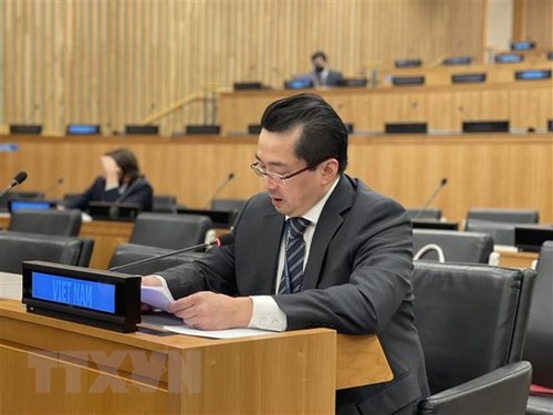 Vietnam betont UN-Charta für Aktionen der Weltgemeinschaft - ảnh 1