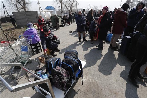 Ukraine stoppt vorübergehend Evakuierung der Menschen aus dem Osten - ảnh 1