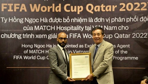 Jeder vietnamesische Fußballfan darf 40 Eintrittskarten pro Spiel der WM 2022 kaufen - ảnh 1