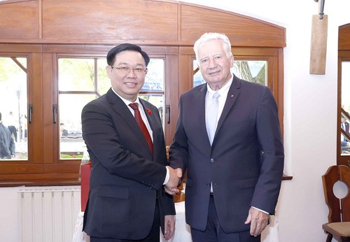 Verstärkung der parlamentarischen Zusammenarbeit zwischen Vietnam und Ungarn  - ảnh 1