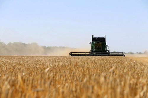 Erste Schifffahrt bringt Mais aus der Ukraine in den Export - ảnh 1