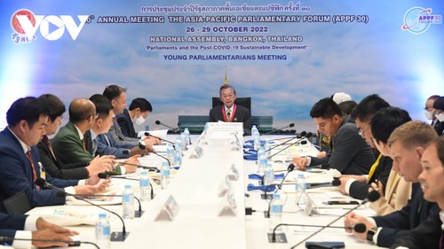 APPF-30: Vietnamesisches Parlament teilt Erfahrungen über Förderung der Wirtschaftsbelebung nach COVID-19-Epidemie - ảnh 1