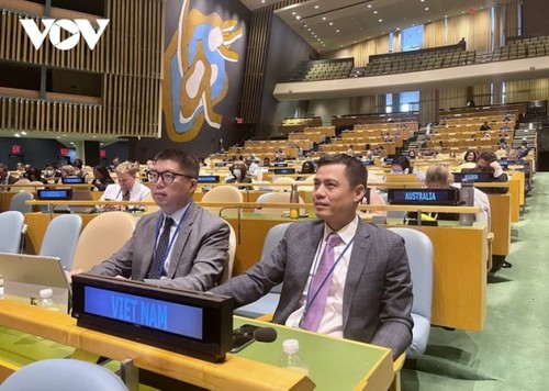 Vietnam betont die Wichtigkeit, die Effektivität der Aktivitäten der UN-Generalversammlung zu erhöhen - ảnh 1