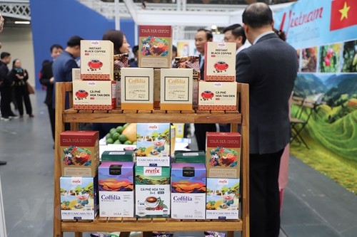 Werbung für landwirtschaftliche Agrarprodukte aus Vietnam in London - ảnh 1