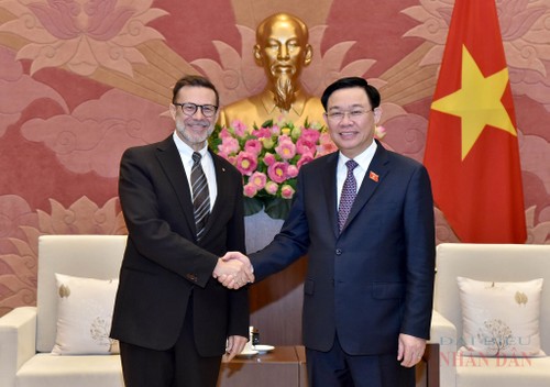  Parlamentsspräsident Vuong Dinh Hue empfängt neuen australischen Botschafter in Vietnam - ảnh 1