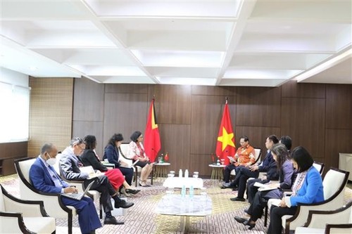 Vietnam unterstützt Osttimor beim ASEAN-Beitritt          - ảnh 1