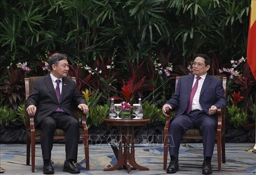 Premierminister Pham Minh Chinh empfängt führende Unternehmer aus Singapur - ảnh 1