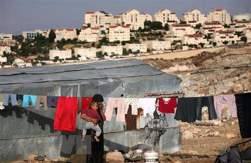 UN-Sicherheitsrat fordert Stopp von Israels Siedlungsbau - ảnh 1
