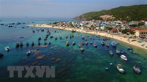 Bis 2050 soll Vietnam zu einem starken Küstenland entwickeln - ảnh 1