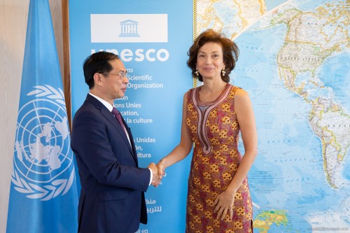 UNESCO hilft Vietnam bei der Erhaltung und Entfaltung der Erbewerte - ảnh 1