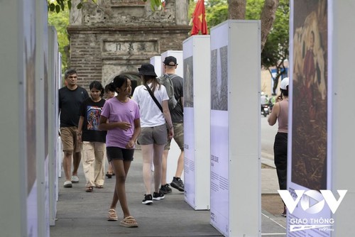 Anzahl ausländischer Touristen im Altstadtviertel Hanois wächst - ảnh 9