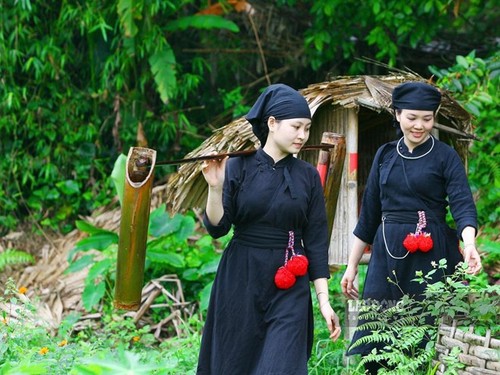 Knapp 350.000 Euro zur Erhaltung des Dorfes der Tay in Thai Nguyen - ảnh 1