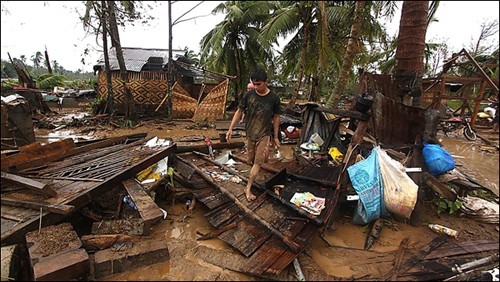 900 people killed, missing after Bopha storm in Philippines - ảnh 1