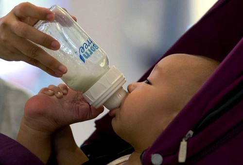 New Zealand wants private investigation on Fonterra milk case - ảnh 1