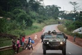 UN Security Council approves military intervention in the Central African Republic - ảnh 1