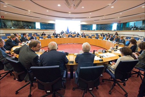 EU summit held after EP vote released  - ảnh 1