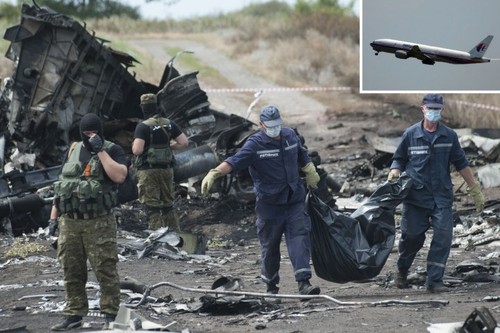 UN Security Council passes resolution on MH17 crash - ảnh 1