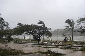 No Vietnamese deaths reported after cyclone Pam - ảnh 1