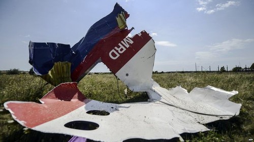 MH17 disaster: Malaysia pushes for criminal tribunal - ảnh 1