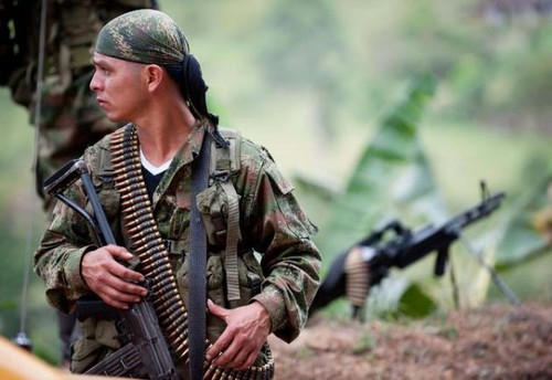 Colombian government and FARC rebels resume talks - ảnh 1