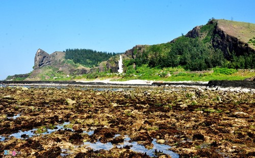 Amazing geological heritage in Ly Son island - ảnh 5