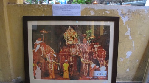 Photo exhibition “Insights into Sri Lankan Buddhist Culture”  - ảnh 5