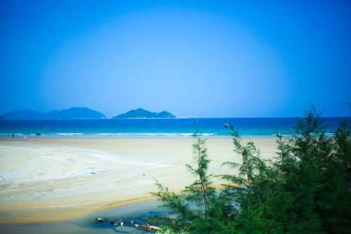 Vietnam se esfuerza desarrollar turismo asociado con el medio ambiente - ảnh 1