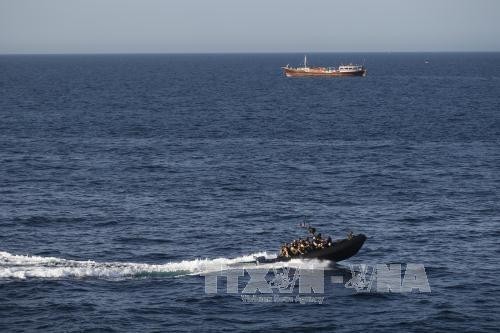   Unión Europea y Somalia intensifican cooperación contra la piratería - ảnh 1