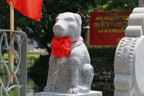 En el Año del Perro visitar el Templo de este animal en Hanói - ảnh 2