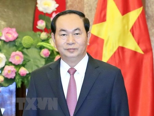 Presidente vietnamita destaca potenciales de cooperación con Etiopía - ảnh 1