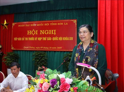 Dirigentes vietnamitas se reúnen con electores de varias localidades - ảnh 1