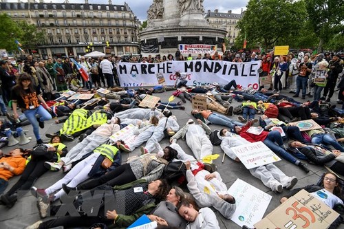 Marchas en Francia para denunciar actividades de Bayer-Monsanto - ảnh 1