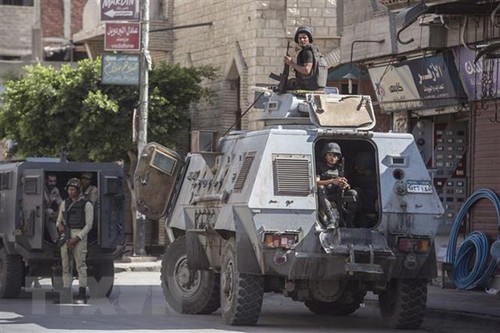 Fuerzas egipcias arrestan a ocho sospechosos por planear “derrocar” al Gobierno - ảnh 1