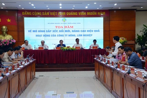 Promueven reorganización de empresas agrícolas y acuícolas vietnamitas - ảnh 1