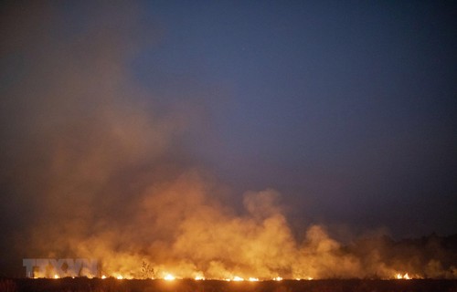Brasil condiciona la ayuda del G7 para incendios en el Amazonas - ảnh 1