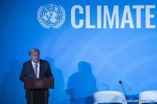 Secretario general de la ONU exige más acciones concretas ante cambio climático - ảnh 1