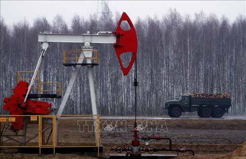 Rusia reanuda los suministros de petróleo a Bielorrusia - ảnh 1