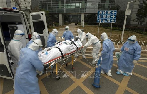 China continental registra 13 muertes y 11 infectados más con SARS-CoV-2 - ảnh 1