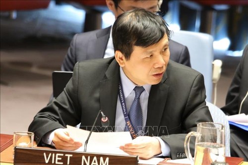Vietnam exhorta al cumplimiento del alto el fuego en Libia - ảnh 1