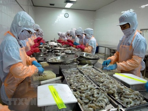 Especialistas pronostican la recuperación del sector camaronero de Vietnam - ảnh 1