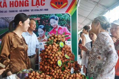 Inauguran feria de promoción de lichis de Thanh Ha y productos agrícolas limpios - ảnh 1